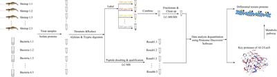 LuxS in Lactobacillus plantarum SS-128 Improves the Texture of Refrigerated Litopenaeus vannamei: Mechanism Exploration Using a Proteomics Approach